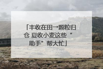 丰收在田→颗粒归仓 夏收小麦这些“助手”帮大忙