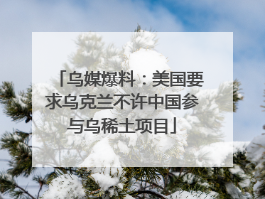 乌媒爆料：美国要求乌克兰不许中国参与乌稀土项目