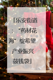 乐安街道：“药材花海”绽希望 产业振兴鼓钱袋