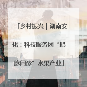 乡村振兴｜湖南安化：科技服务团“把脉问诊”水果产业