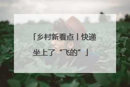 乡村新看点丨快递坐上了“飞的”