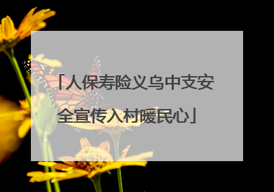 人保寿险义乌中支安全宣传入村暖民心