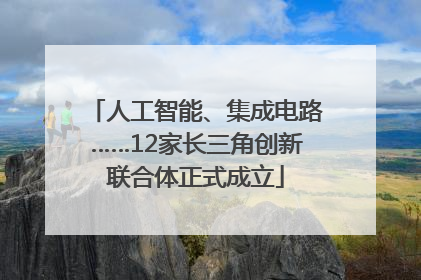 人工智能、集成电路……12家长三角创新联合体正式成立