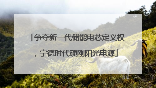 争夺新一代储能电芯定义权，宁德时代硬刚阳光电源