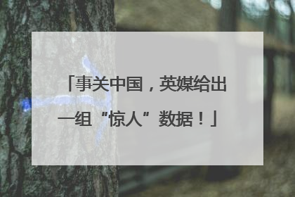事关中国，英媒给出一组“惊人”数据！