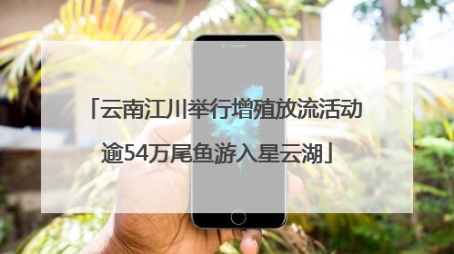 云南江川举行增殖放流活动 逾54万尾鱼游入星云湖