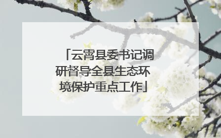 云霄县委书记调研督导全县生态环境保护重点工作