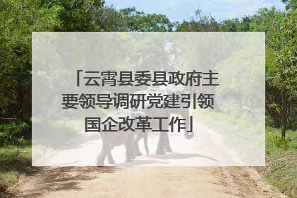 云霄县委县政府主要领导调研党建引领国企改革工作