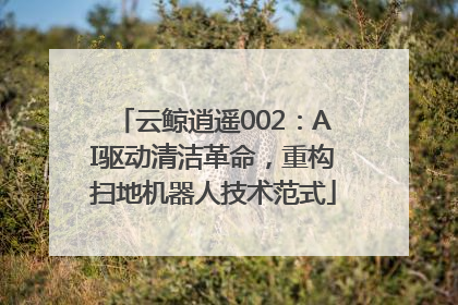 云鲸逍遥002：AI驱动清洁革命，重构扫地机器人技术范式