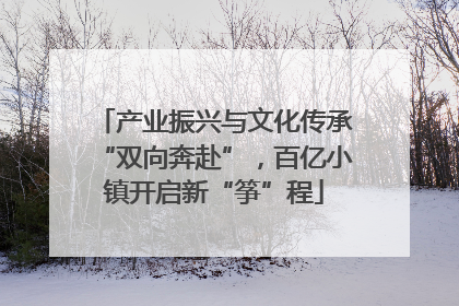 产业振兴与文化传承“双向奔赴”，百亿小镇开启新“筝”程