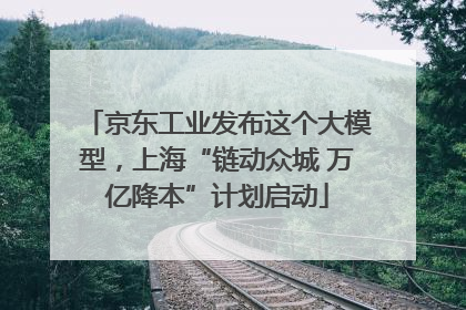 京东工业发布这个大模型，上海“链动众城 万亿降本”计划启动