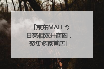 京东MALL今日亮相双井商圈，聚集多家首店