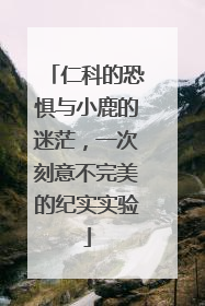 仁科的恐惧与小鹿的迷茫，一次刻意不完美的纪实实验