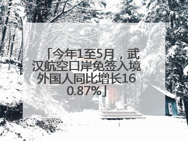 今年1至5月，武汉航空口岸免签入境外国人同比增长160.87%