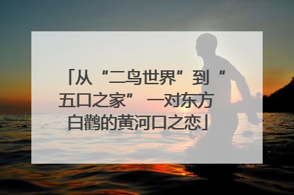 从“二鸟世界”到“五口之家” 一对东方白鹳的黄河口之恋