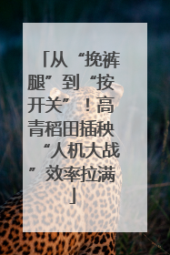从“挽裤腿”到“按开关”！高青稻田插秧“人机大战”效率拉满