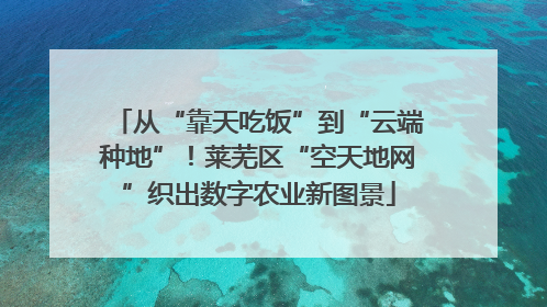 从“靠天吃饭”到“云端种地”！莱芜区“空天地网”织出数字农业新图景