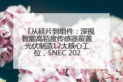从硅片到组件：深视智能高精度传感器覆盖光伏制造12大核心工位，SNEC 2025诚邀见证