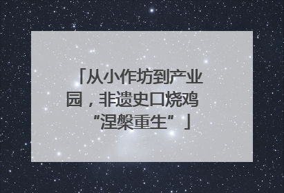 从小作坊到产业园，非遗史口烧鸡“涅槃重生”