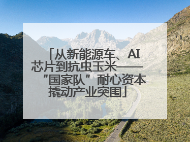 从新能源车、AI芯片到抗虫玉米——“国家队”耐心资本撬动产业突围