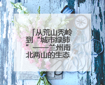从荒山秃岭到“城市绿肺”——兰州南北两山的生态蝶变之路