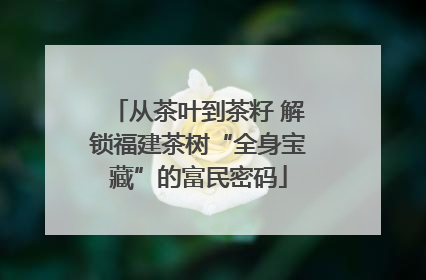 从茶叶到茶籽 解锁福建茶树“全身宝藏”的富民密码