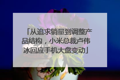 从追求销量到调整产品结构，小米总裁卢伟冰回应手机大盘变动