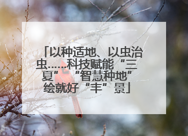 以种适地、以虫治虫……科技赋能“三夏” “智慧种地”绘就好“丰”景