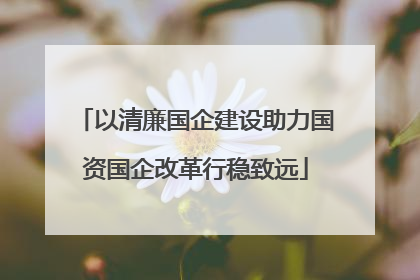 以清廉国企建设助力国资国企改革行稳致远