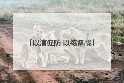 以演促防 以练备战