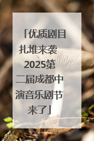 优质剧目扎堆来袭 2025第二届成都中演音乐剧节来了