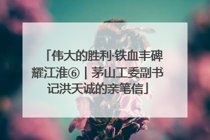 伟大的胜利·铁血丰碑耀江淮⑥｜茅山工委副书记洪天诚的亲笔信