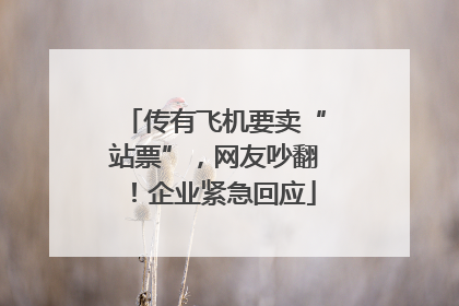 传有飞机要卖“站票”，网友吵翻！企业紧急回应