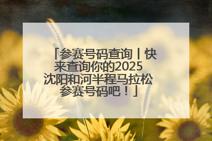参赛号码查询丨快来查询你的2025沈阳和河半程马拉松参赛号码吧！