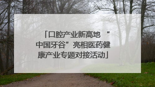 口腔产业新高地 “中国牙谷”亮相医药健康产业专题对接活动