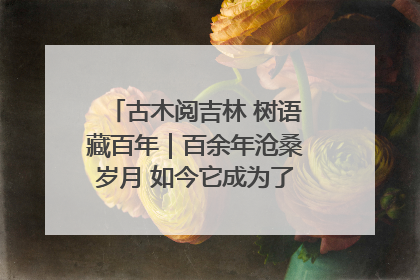 古木阅吉林 树语藏百年｜百余年沧桑岁月 如今它成为了“镇园之宝”
