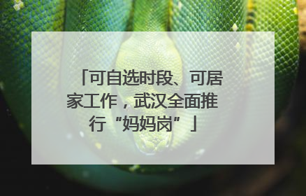 可自选时段、可居家工作，武汉全面推行“妈妈岗”