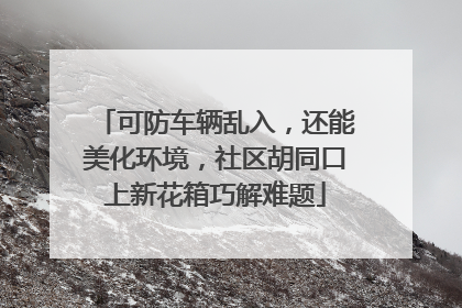 可防车辆乱入，还能美化环境，社区胡同口上新花箱巧解难题