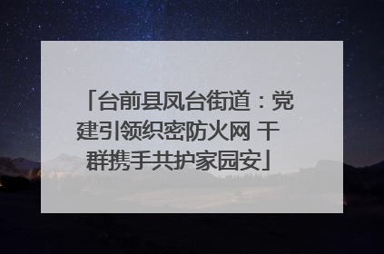 台前县凤台街道：党建引领织密防火网 干群携手共护家园安