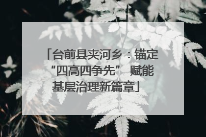 台前县夹河乡：锚定“四高四争先” 赋能基层治理新篇章