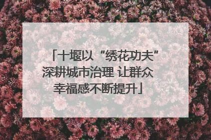 十堰以“绣花功夫”深耕城市治理 让群众幸福感不断提升