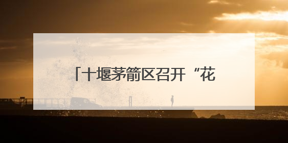十堰茅箭区召开“花样茅箭‘格’暖万家”技能大比武暨庆“七·一”汇演活动