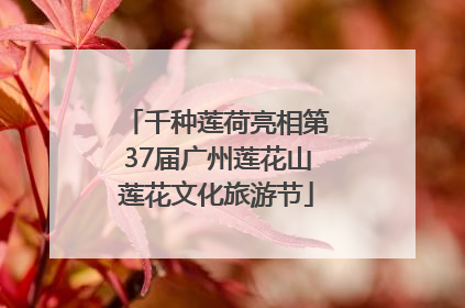 千种莲荷亮相第37届广州莲花山莲花文化旅游节