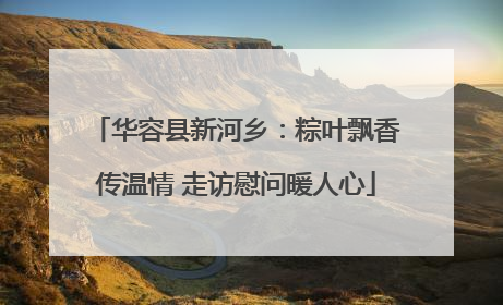华容县新河乡：粽叶飘香传温情 走访慰问暖人心