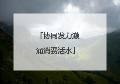 协同发力激涌消费活水