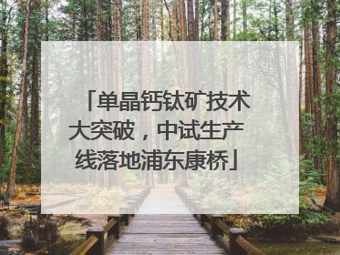 单晶钙钛矿技术大突破，中试生产线落地浦东康桥