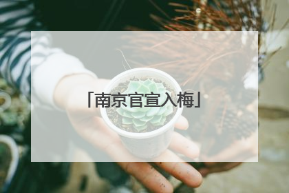 南京官宣入梅