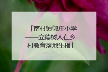 南村镇郭庄小学——立德树人在乡村教育落地生根