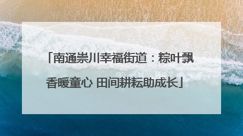 南通崇川幸福街道：粽叶飘香暖童心 田间耕耘助成长