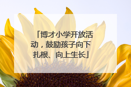 博才小学开放活动，鼓励孩子向下扎根、向上生长
